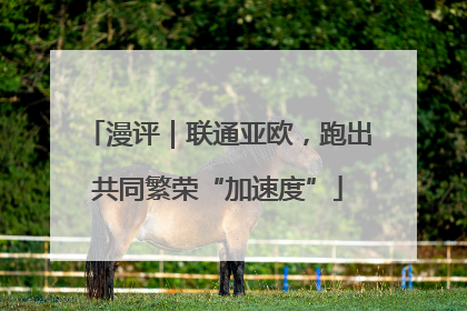 漫评｜联通亚欧，跑出共同繁荣“加速度”