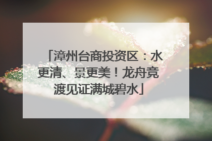漳州台商投资区：水更清、景更美！龙舟竞渡见证满城碧水