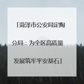 菏泽市公安局定陶分局：为全区高质量发展筑牢平安基石