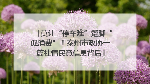 莫让“停车难”蹩脚“促消费”！泰州市政协一篇社情民意信息背后