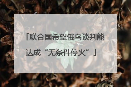 联合国希望俄乌谈判能达成“无条件停火”