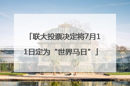联大投票决定将7月11日定为“世界马日”