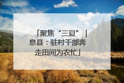 聚焦“三夏”｜息县：驻村干部奔走田间为农忙