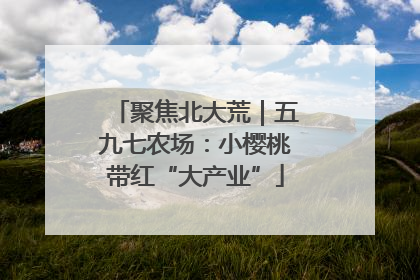 聚焦北大荒｜五九七农场：小樱桃带红“大产业”