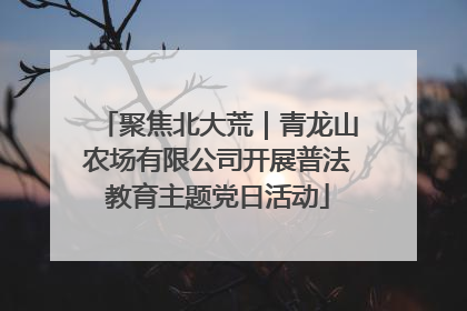聚焦北大荒｜青龙山农场有限公司开展普法教育主题党日活动