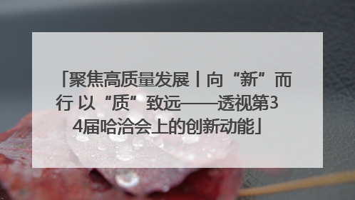 聚焦高质量发展丨向“新”而行 以“质”致远——透视第34届哈洽会上的创新动能