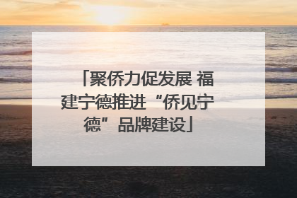 聚侨力促发展 福建宁德推进“侨见宁德”品牌建设