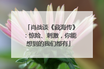 肖战谈《藏海传》：惊险、刺激，你能想到的我们都有