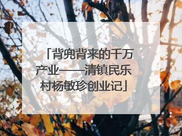 背兜背来的千万产业——清镇民乐村杨敏珍创业记