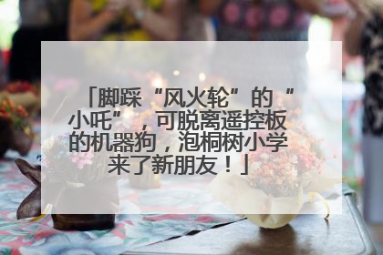 脚踩“风火轮”的“小吒”，可脱离遥控板的机器狗，泡桐树小学来了新朋友！