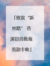 致富“新丝路” 苍溪县首批蚕茧迎丰收