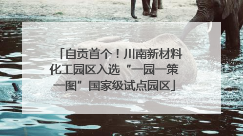 自贡首个！川南新材料化工园区入选“一园一策一图”国家级试点园区