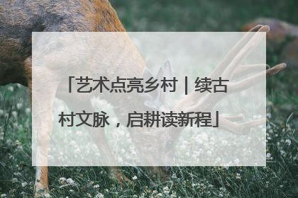 艺术点亮乡村｜续古村文脉，启耕读新程