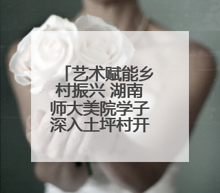 艺术赋能乡村振兴 湖南师大美院学子深入土坪村开展实践调研