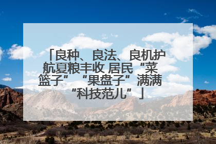 良种、良法、良机护航夏粮丰收 居民“菜篮子”“果盘子”满满“科技范儿”
