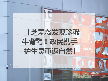 芝罘岛发现珍稀牛背鹭！政民携手护生灵重返自然