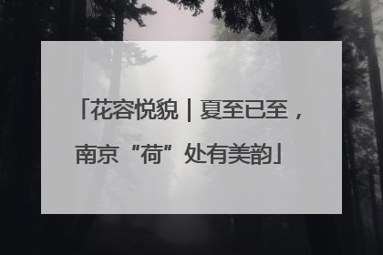 花容悦貌｜夏至已至，南京“荷”处有美韵