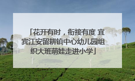 花开有时，衔接有度 宜宾江安留耕镇中心幼儿园组织大班萌娃走进小学