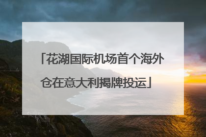 花湖国际机场首个海外仓在意大利揭牌投运