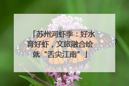 苏州河虾季：好水育好虾，文旅融合绘就“舌尖江南”