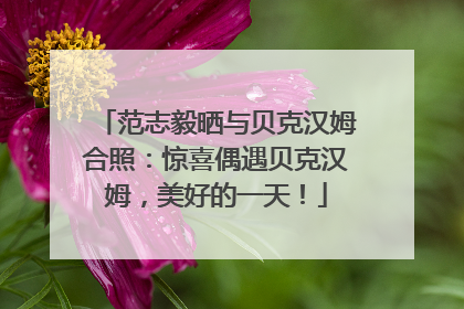 范志毅晒与贝克汉姆合照：惊喜偶遇贝克汉姆，美好的一天！