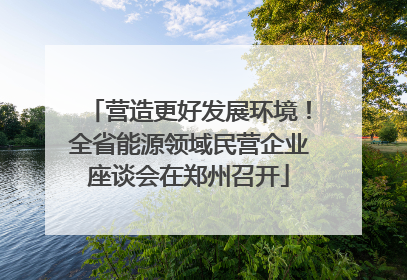 营造更好发展环境！全省能源领域民营企业座谈会在郑州召开
