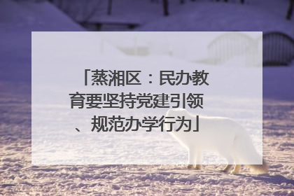 蒸湘区：民办教育要坚持党建引领、规范办学行为