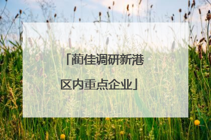 蔺佳调研新港区内重点企业