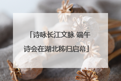 诗咏长江文脉 端午诗会在湖北秭归启幕