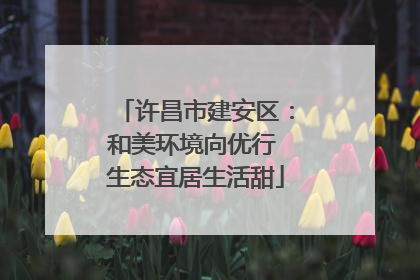 许昌市建安区：和美环境向优行 生态宜居生活甜