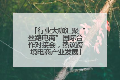 行业大咖汇聚“丝路电商”国际合作对接会，热议跨境电商产业发展