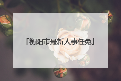 衡阳市最新人事任免