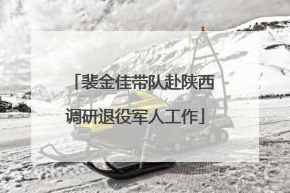 裴金佳带队赴陕西调研退役军人工作