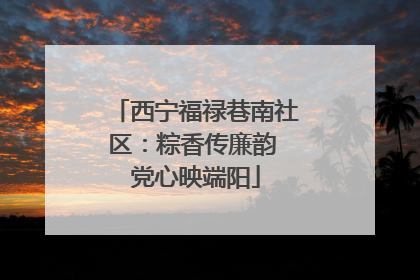 西宁福禄巷南社区：粽香传廉韵 党心映端阳