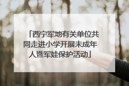 西宁军地有关单位共同走进小学开展未成年人暨军娃保护活动