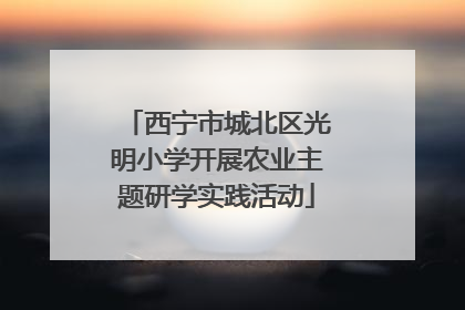 西宁市城北区光明小学开展农业主题研学实践活动