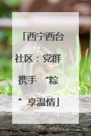 西宁西台社区：党群携手 “粽”享温情