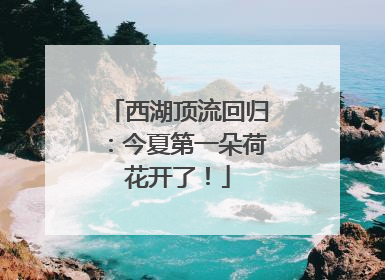 西湖顶流回归：今夏第一朵荷花开了！