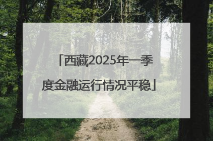 西藏2025年一季度金融运行情况平稳