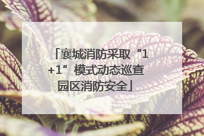 襄城消防采取“1+1”模式动态巡查园区消防安全