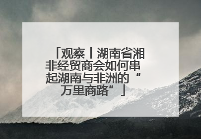 观察丨湖南省湘非经贸商会如何串起湖南与非洲的“万里商路”
