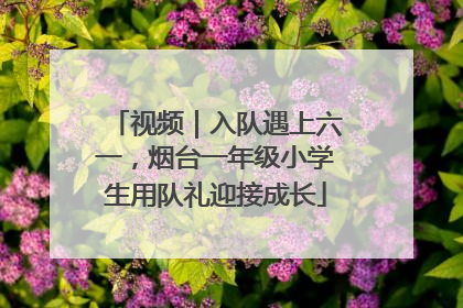 视频｜入队遇上六一，烟台一年级小学生用队礼迎接成长