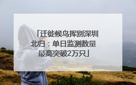 迁徙候鸟挥别深圳北归：单日监测数量最高突破2万只