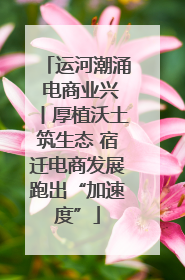 运河潮涌 电商业兴丨厚植沃土筑生态 宿迁电商发展跑出“加速度”