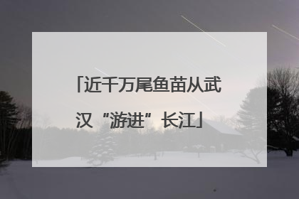 近千万尾鱼苗从武汉“游进”长江