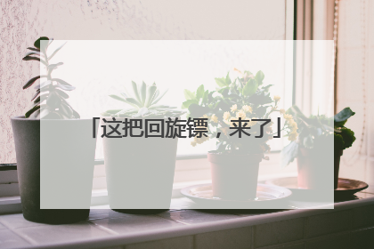 这把回旋镖，来了
