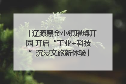 辽源黑金小镇璀璨开园 开启“工业+科技”沉浸文旅新体验