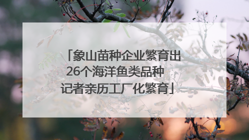 象山苗种企业繁育出26个海洋鱼类品种 记者亲历工厂化繁育