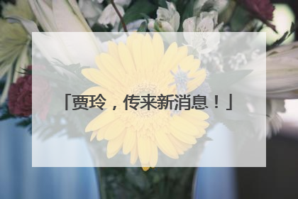 贾玲，传来新消息！