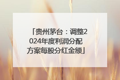贵州茅台：调整2024年度利润分配方案每股分红金额